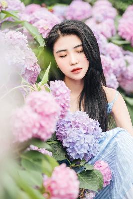 狙击蝴蝶 电视剧