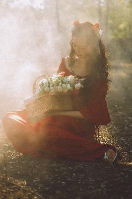 树影迷宫电视剧免费播放