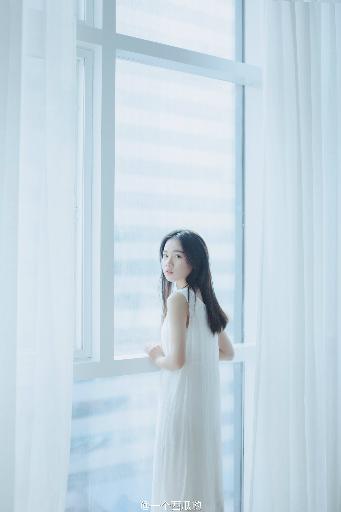 免费观看电视剧全集在线播放高清